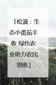 松滋：生态小番茄丰收 绿色农业助力农民增收