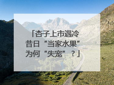 杏子上市遇冷 昔日“当家水果”为何“失宠”？