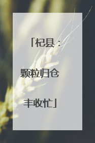 杞县：颗粒归仓丰收忙