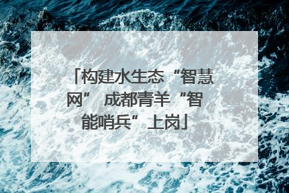 构建水生态“智慧网” 成都青羊“智能哨兵”上岗