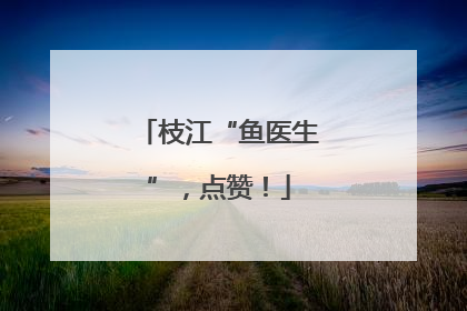 枝江“鱼医生”，点赞！