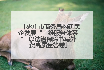 枣庄市商务局构建民企发展“三维服务体系” 以法治保障书写外贸高质量答卷