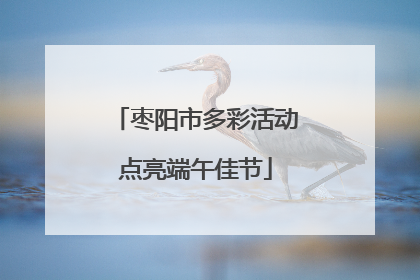 枣阳市多彩活动点亮端午佳节