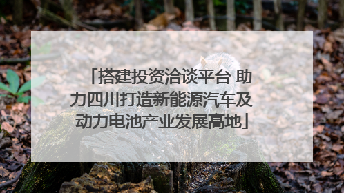 搭建投资洽谈平台 助力四川打造新能源汽车及动力电池产业发展高地