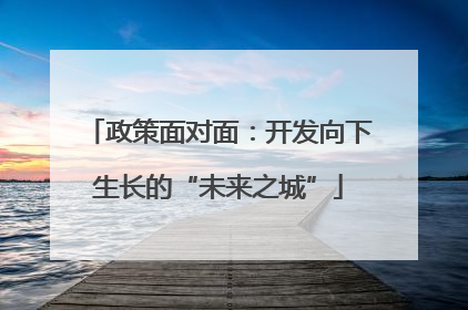 政策面对面：开发向下生长的“未来之城”