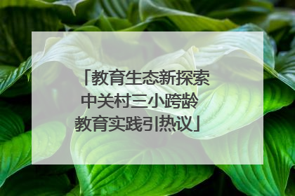 教育生态新探索 中关村三小跨龄教育实践引热议