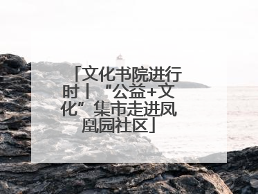 文化书院进行时丨“公益+文化”集市走进凤凰园社区