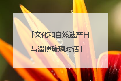 文化和自然遗产日与淄博琉璃对话