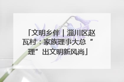 文明乡伴|淄川区赵瓦村:家族理事大总“理”出文明新风尚