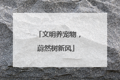 文明养宠物，蔚然树新风