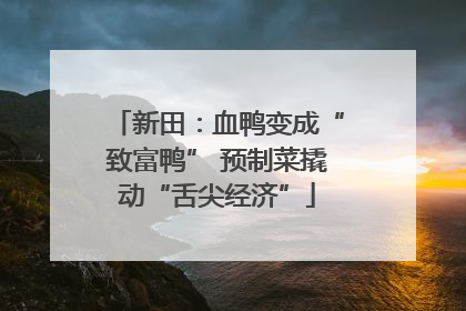 新田：血鸭变成“致富鸭” 预制菜撬动“舌尖经济”