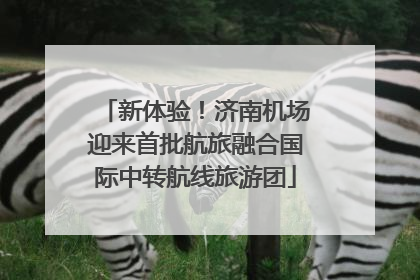新体验！济南机场迎来首批航旅融合国际中转航线旅游团