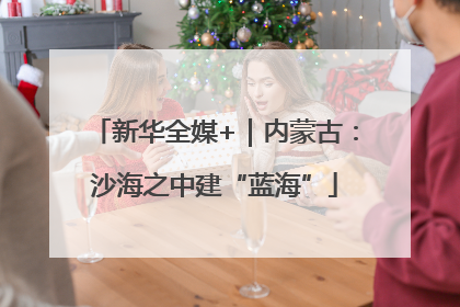 新华全媒+｜内蒙古：沙海之中建“蓝海”