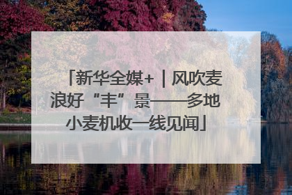 新华全媒+｜风吹麦浪好“丰”景——多地小麦机收一线见闻