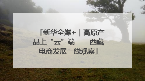 新华全媒+｜高原产品上“云”端——西藏电商发展一线观察