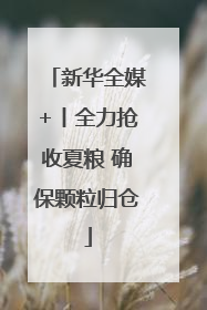 新华全媒+丨全力抢收夏粮 确保颗粒归仓