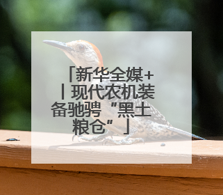 新华全媒+丨现代农机装备驰骋“黑土粮仓”