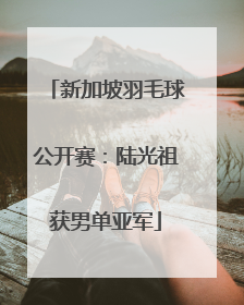 新加坡羽毛球公开赛：陆光祖获男单亚军