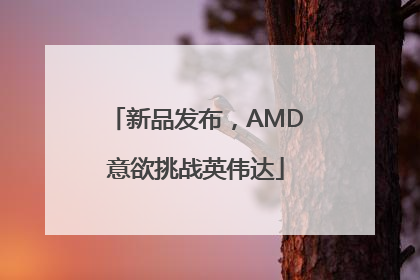 新品发布，AMD意欲挑战英伟达