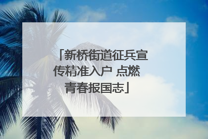 新桥街道征兵宣传精准入户 点燃青春报国志