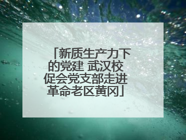 新质生产力下的党建 武汉校促会党支部走进革命老区黄冈
