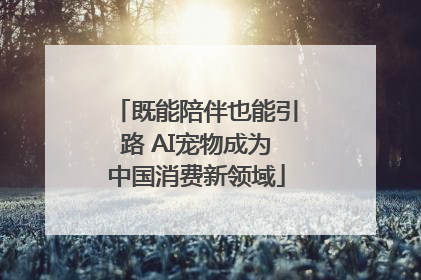 既能陪伴也能引路 AI宠物成为中国消费新领域