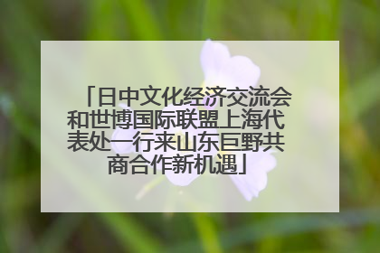 日中文化经济交流会和世博国际联盟上海代表处一行来山东巨野共商合作新机遇