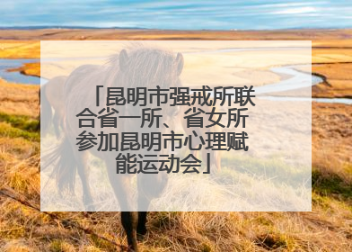 昆明市强戒所联合省一所、省女所参加昆明市心理赋能运动会
