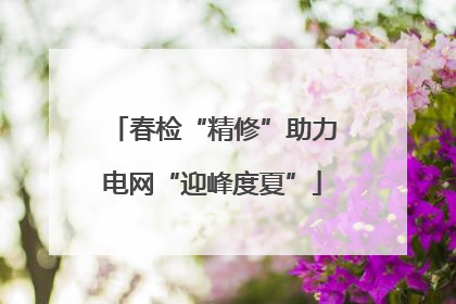 春检“精修”助力电网“迎峰度夏”