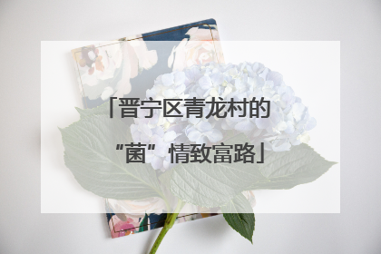 晋宁区青龙村的“菌”情致富路