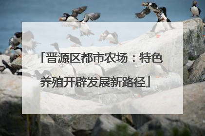 晋源区都市农场：特色养殖开辟发展新路径