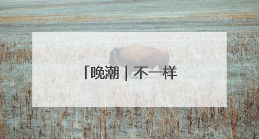 晚潮｜不一样的新塘龙舟