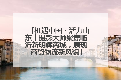 机遇中国・活力山东丨摄影大师聚焦临沂新明辉商城，展现商贸物流新风貌