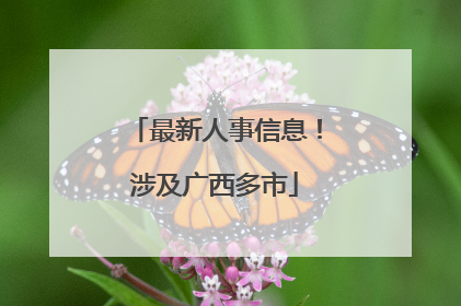 最新人事信息!涉及广西多市