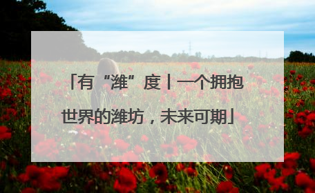 有“潍”度丨一个拥抱世界的潍坊，未来可期