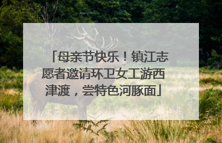 母亲节快乐！镇江志愿者邀请环卫女工游西津渡，尝特色河豚面