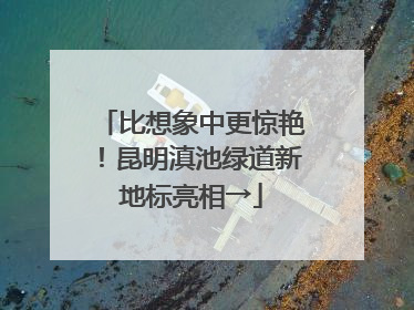 比想象中更惊艳！昆明滇池绿道新地标亮相→