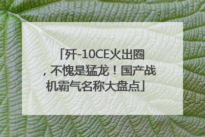 歼-10CE火出圈，不愧是猛龙！国产战机霸气名称大盘点