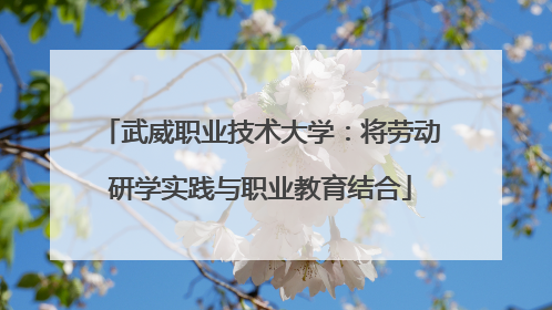 武威职业技术大学：将劳动研学实践与职业教育结合