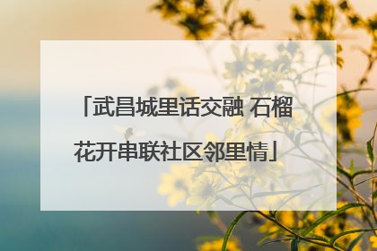 武昌城里话交融 石榴花开串联社区邻里情