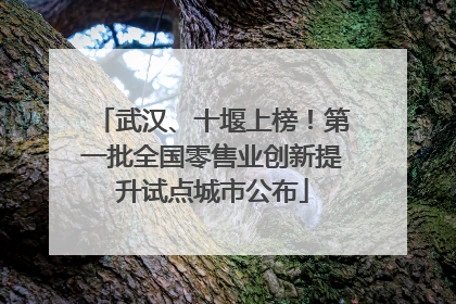 武汉、十堰上榜！第一批全国零售业创新提升试点城市公布