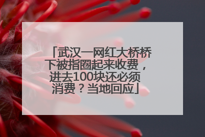 武汉一网红大桥桥下被指圈起来收费，进去100块还必须消费？当地回应