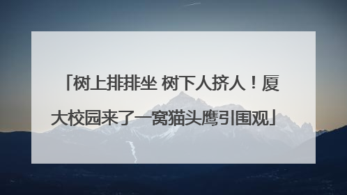 树上排排坐 树下人挤人！厦大校园来了一窝猫头鹰引围观