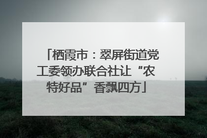 栖霞市：翠屏街道党工委领办联合社让“农特好品”香飘四方