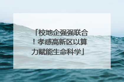 校地企强强联合！孝感高新区以算力赋能生命科学