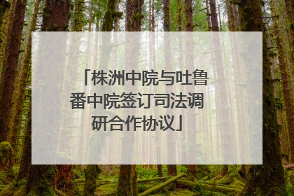 株洲中院与吐鲁番中院签订司法调研合作协议