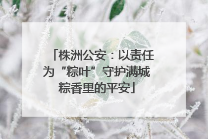 株洲公安：以责任为“粽叶”守护满城粽香里的平安