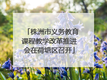 株洲市义务教育课程教学改革推进会在荷塘区召开