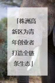 株洲高新区为青年创业者打造全链条生态