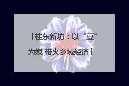 桂东新坊：以“豆”为媒 带火乡域经济